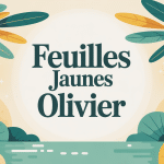 feuille jaune olivier olivier stylisé scène méditerranéenne