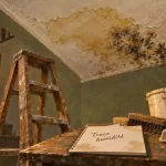 Trace humidité plafond, fissures et moisissure près jonction mur-plafond